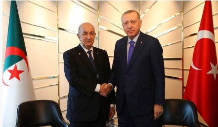 الرئيسان التركي والجزائري .. لا يمكن التوصل إلى أية نتيجة في ليبيا عبر الحلول العسكرية